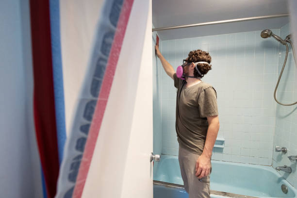 Best Industrial Mold Remediation  in Graham, NC