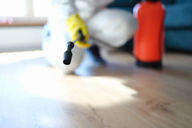 Best Emergency Mold Remediation  in Graham, NC