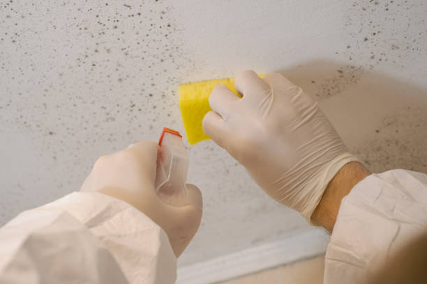 Best Airborne Mold Testing  in Graham, NC